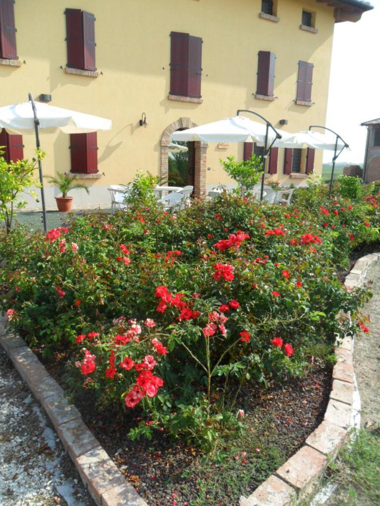 Agriturismo Al Navile Malalbergo Εξωτερικό φωτογραφία